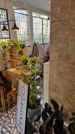  at Copper + Cloves in Bangalore