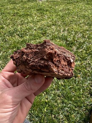   at A Padoca in Porto