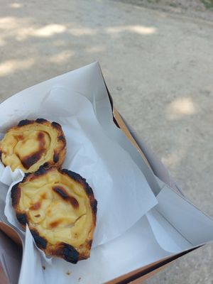 Pastel de nata at A Padoca in Porto