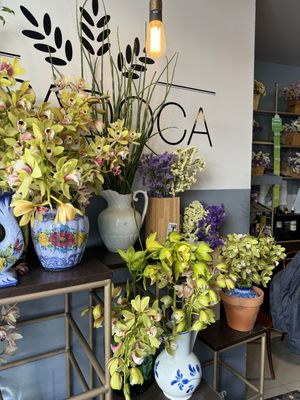 Nice   at A Padoca in Porto