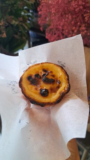 Pastel de nata at A Padoca in Porto
