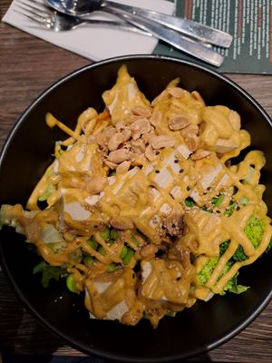 Vegane Bowl at Umami Running Sushi & Bowl Am Campus in Muenster