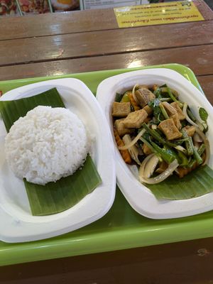 Vegan Stir Fry Basil Tofu with Rice at Pakbai - Food Stall in Chiang Mai