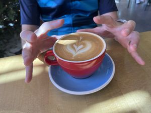 Latte   at Project Coffee - Rosemary in Sarasota