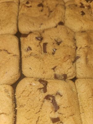  at Straight Outta Plantz (S.O.P-STL) in St Louis