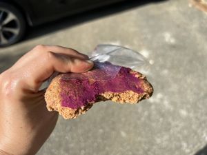 Purple sweet potato cinnamon cookie  at Pari Jan - パリジャン in Okinawa