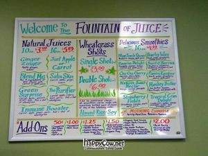 Juice Bar menu at Baums Natural Foods in St John