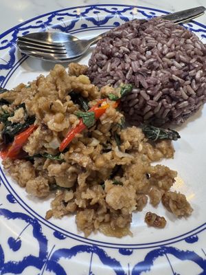 Thai basil with. Mince meat   at May Veggie Home Express - ประสานมิตรพลาซ่า in Bangkok