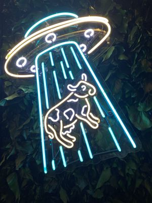   at Gibi Vegan in Izmir