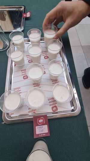  at Gibi Vegan in Izmir