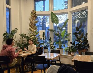 Beautiful plants! at Mera Kitchen Collective in Baltimore