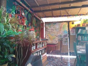 Mid afternoon at Sativa Studio Cafe in Banos