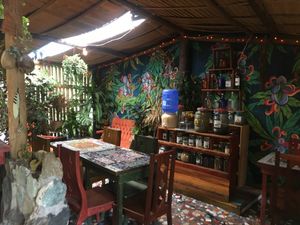inside at Sativa Studio Cafe in Banos