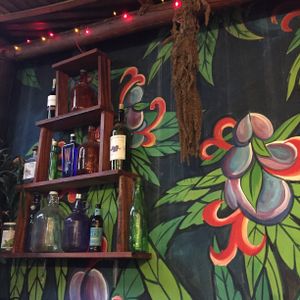 Beautiful designs and kombucha  at Sativa Studio Cafe in Banos