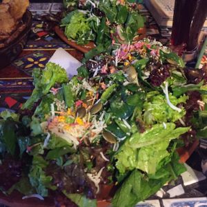 This salad is HUGE  at Sativa Studio Cafe in Banos
