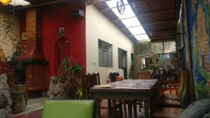 Cafe at Sativa Studio Cafe in Banos