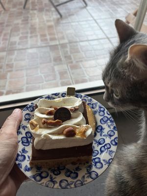   at Maison Folius in Carqueiranne