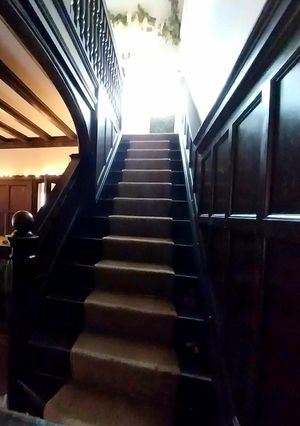 Hallway stairs at Jesmond House - Vegan B&B in Hull