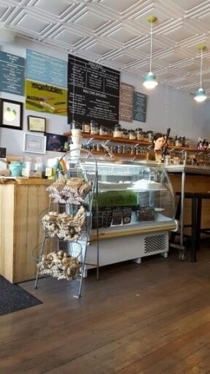 Green Action .. at Consciousfork in Warwick