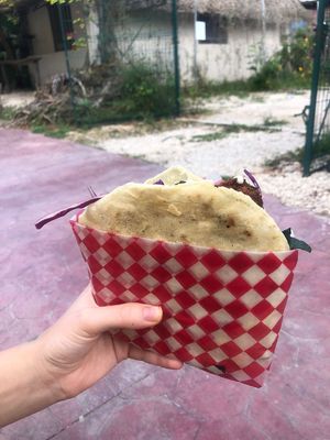 Size of the sandwich   at Monkey Monkey Falafel in Bacalar