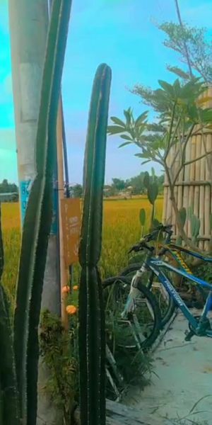  at Umah Dijé in Singaraja