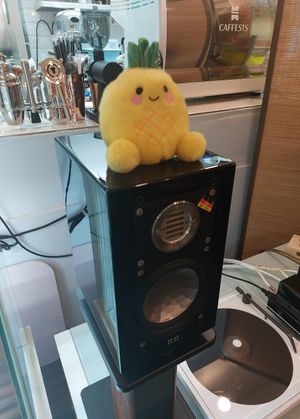 Interior at Sow Something - 素心事 in Kowloon