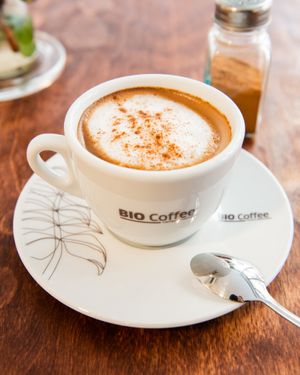 Cafè ecològic at La Gata Insubmisa in Tarragona