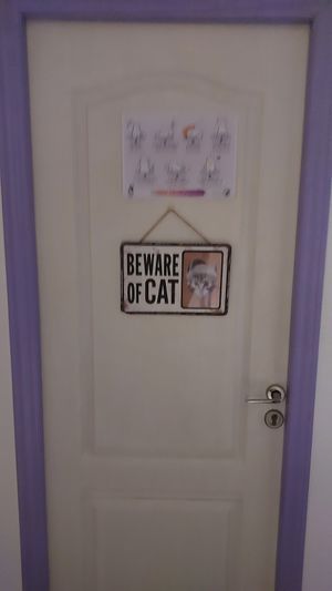  at La Gata Insubmisa in Tarragona