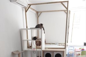  at La Gata Insubmisa in Tarragona