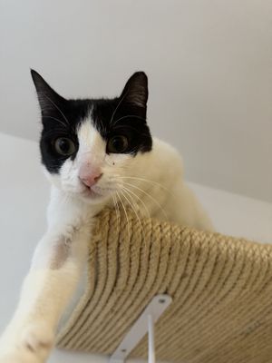   at La Gata Insubmisa in Tarragona