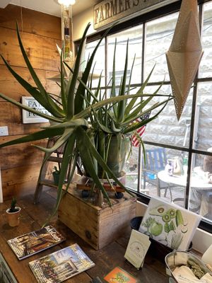   at Frenchtown Subs in Frenchtown