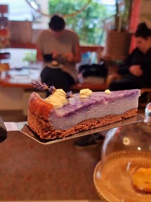  at Pastel Blumencafe in Magdeburg