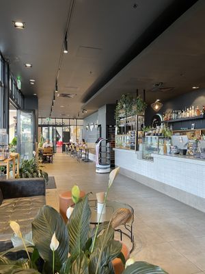 Also have dairy free milk free at no extra cost!!  at Coca bar in Maroochydore