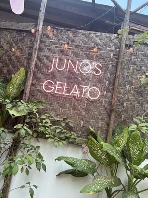   at Juno's Gelato in Palolem