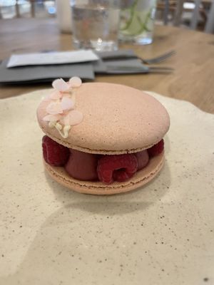 Berries macaron   at Angel Cakes in Dubai