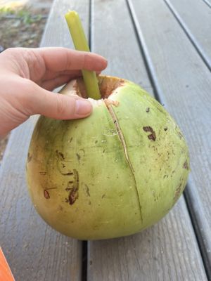 Fresh coconut I was given to drink from.   at Market at Sun Farm in Honolulu