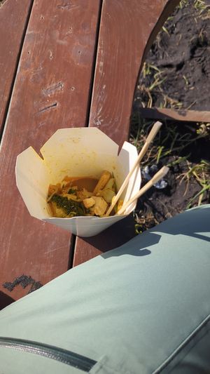 Mostly finished veganizer at Wok On Vík in Vik