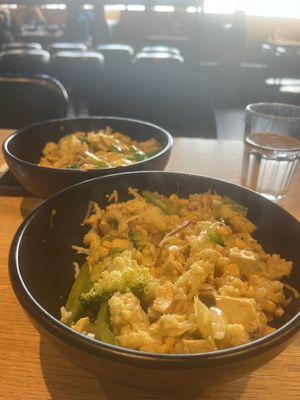 Clearly labeled tofu & veggie stir fry (I think it was called “veganizer” or something like that).   at Wok On Vík in Vik