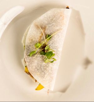  at rooted AF in Wilmington