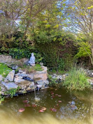  at Integrando con Sentido in Melipilla