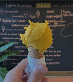   at Poga Helados in Santiago