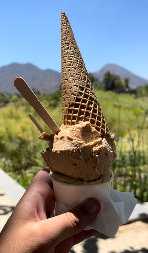   at Poga Helados in Santiago
