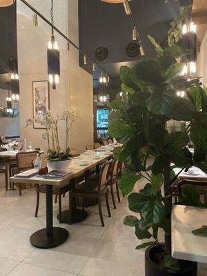   at TAO Restaurant and Bar in Sydney