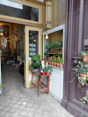 Outside at Plantbar Jacqueline in Borgerhout