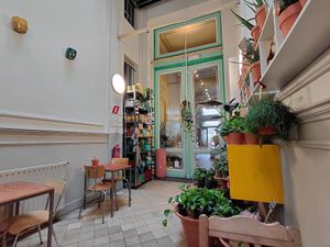 Inside the bar at Plantbar Jacqueline in Borgerhout