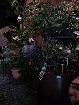  at Plantbar Jacqueline in Borgerhout