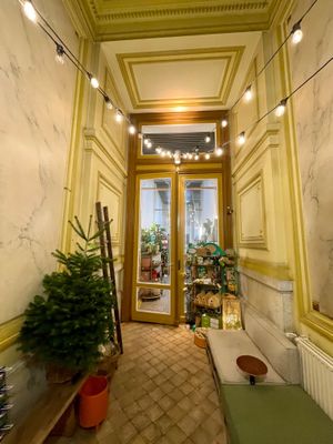  at Plantbar Jacqueline in Borgerhout