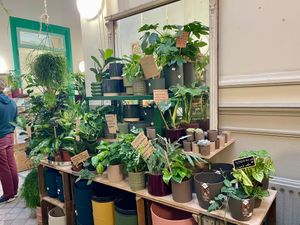  at Plantbar Jacqueline in Borgerhout