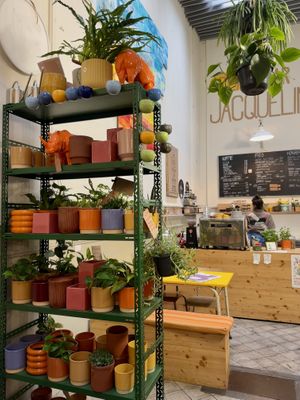 Some items for sale  at Plantbar Jacqueline in Borgerhout