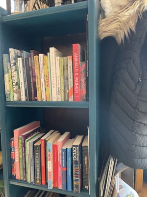 Books  at Café Naiv in Innsbruck